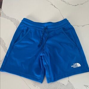 The North Face Men's Vibrant Blue Athletic Shorts